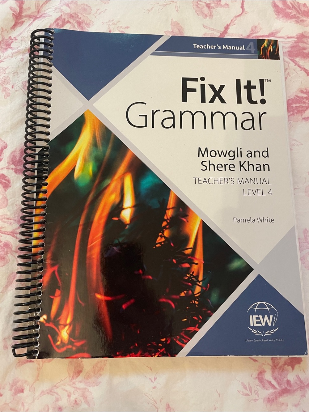 Fix It! Grammar Level 4 Teacher's Manual - Mowgli and Shere Khan Excellent/New